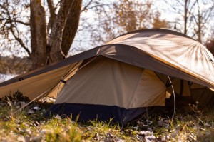 Bushmen CORE-Tent® LODGER groen 2