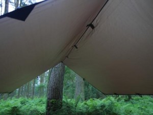 DD Tarp Coyote Brown