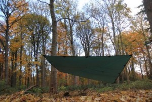 DD Tarp 4 x 4 2