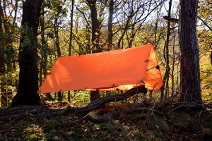 DD Tarp Orange 1