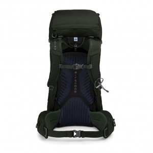 Osprey Kestrel 38 groen S-M 2