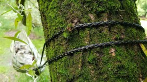 Bushmen Hammock groen met karabiners