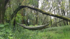 Bushmen Hammock groen met karabiners 3