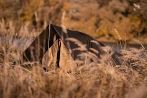 Bushmen CORE-Tent® LODGER groen 6