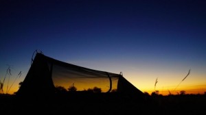 Bushmen CORE-Tent® LODGER bruin 4